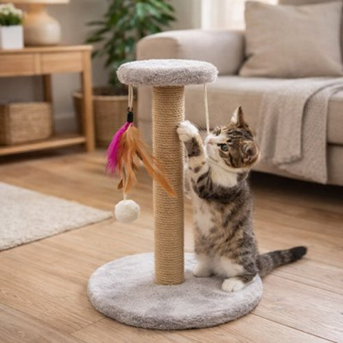 griffoir chat tout en un gris chaton griffant salon