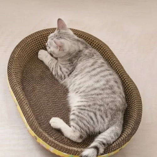 griffoir en carton pour chat forme ovale chat allonge