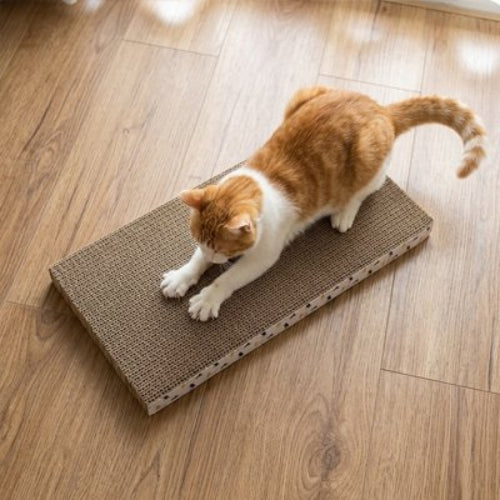 griffoir en carton pour chat planche avec chat griffant