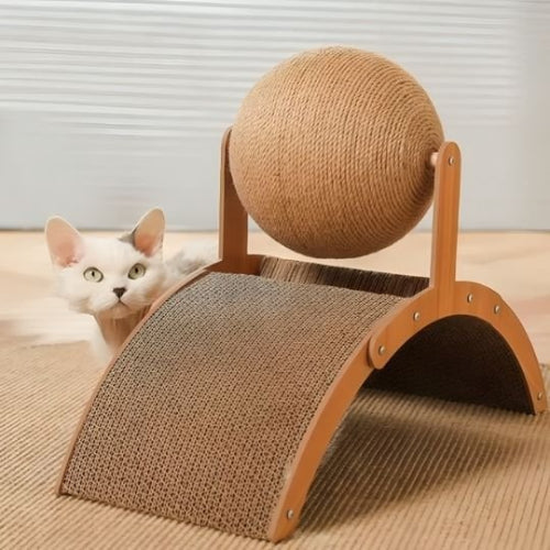 griffoir multifonction chat