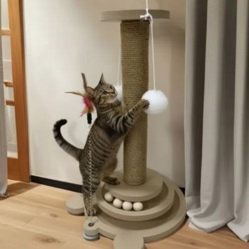 griffoir pour chat amusant chat griffant