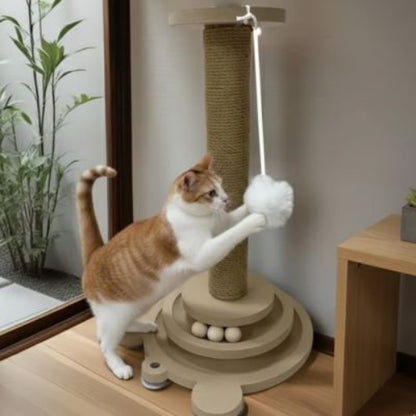 griffoir pour chat amusant chat jouant
