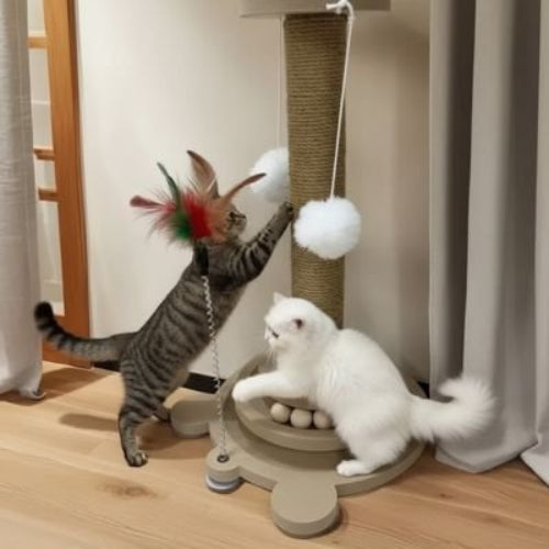 griffoir pour chat amusant chats jouant