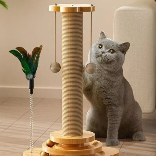 griffoire chat design original chat assis