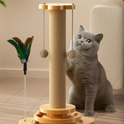 griffoire chat design original chat assis