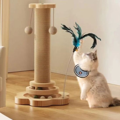 griffoire chat design original chat jouant avec plume