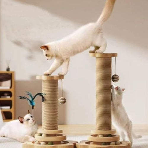 griffoire chat design original chat jouant