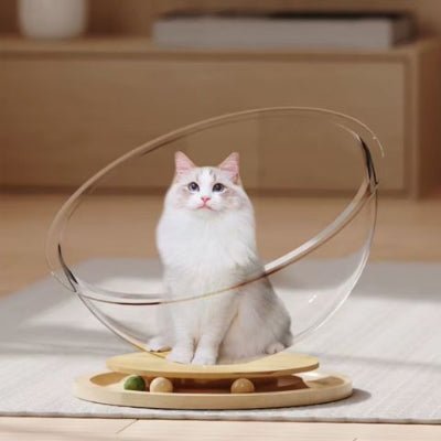 Hamac à chat | Capsule Spatiale - Mon Adorable Félin