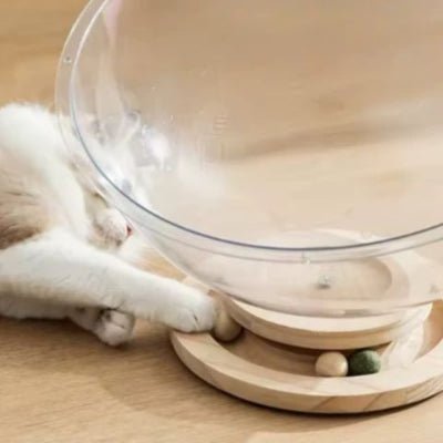 Hamac à chat | Capsule Spatiale - Mon Adorable Félin