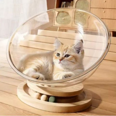 hamac-à-chat-capsule-spatiale-transparent