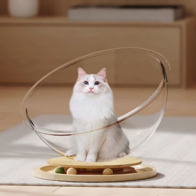 hamac-à-chat-capsule-spatiale