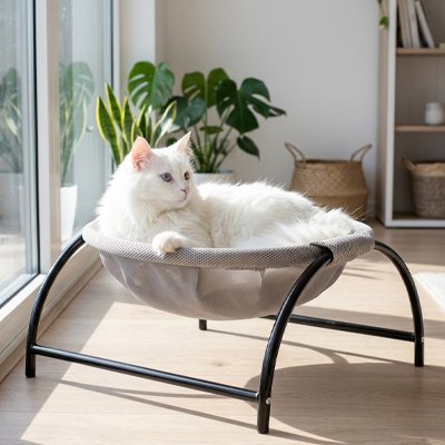 hamac chat design arche chat allonge salon