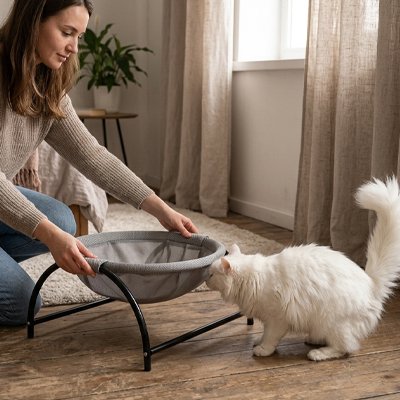 hamac chat design arche maitresse chat debout salon