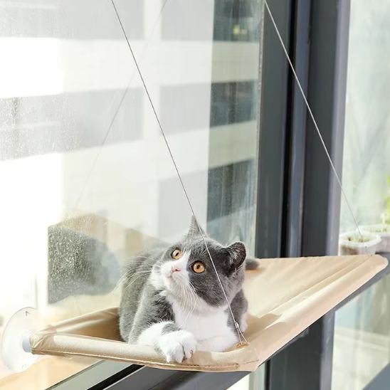 hamac chat fenetre confortable beige chat allonge