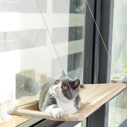 hamac chat fenetre confortable beige chat allonge