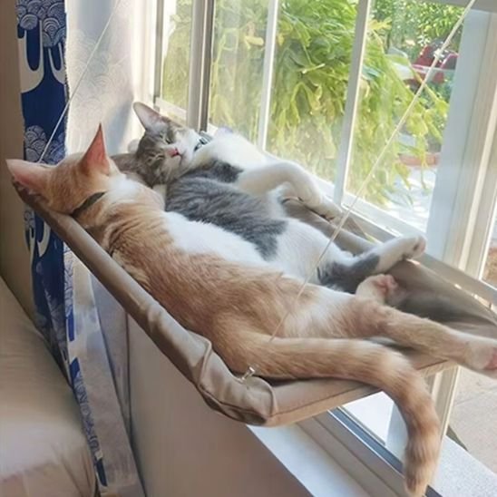hamac chat fenetre confortable beige chats allonges