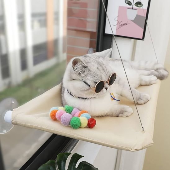 hamac chat fenetre confortable beige chats apaise