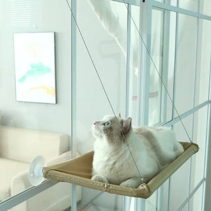 hamac chat fenetre confortable chat allonge beige