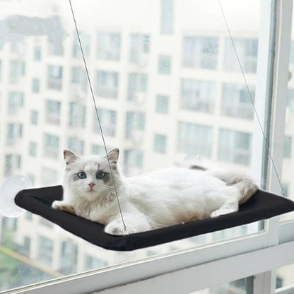 hamac chat fenetre confortable noir chat allonge