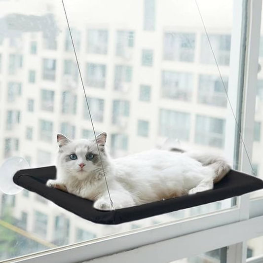 hamac chat fenetre confortable noir chat allonge