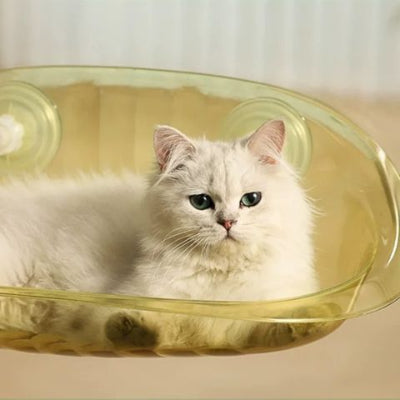 hamac-chat-fenetre-contemporain-jaune