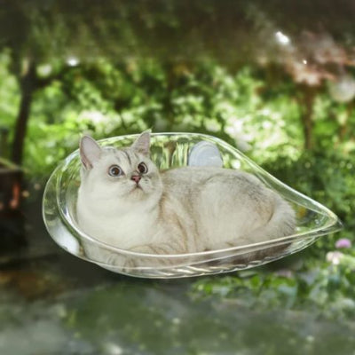 hamac-chat-fenetre-contemporain