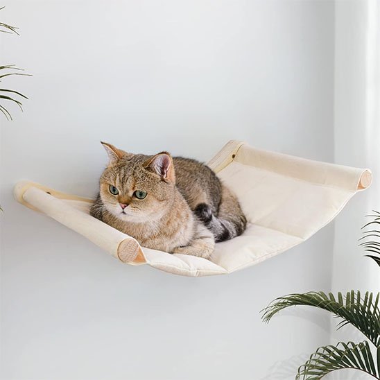 hamac chat​ mural chat allonge