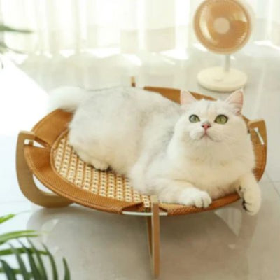 hamac-chat-naturel
