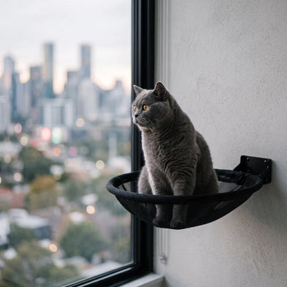 hamac chat pliable noir chat assis