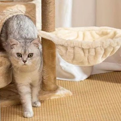 Hamac chat | Pour arbre à chat - Mon Adorable Félin