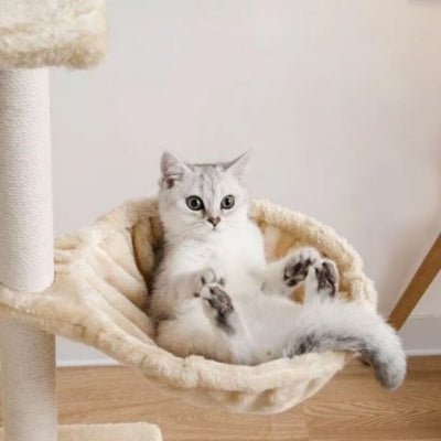 Hamac chat | Pour arbre à chat - Mon Adorable Félin