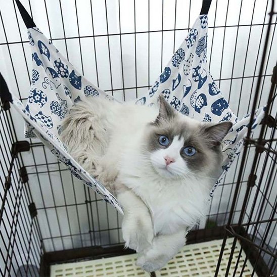hamac pour chat blanc sangles ajustables chat allonge