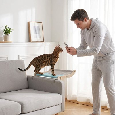 hamac pour chat bleu bois naturel maitre chat salon