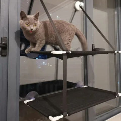 hamac-pour-chat-fenetre-deux-niveaux-amusant