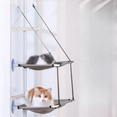 hamac-pour-chat-fenetre-deux-niveaux-interieur-maison