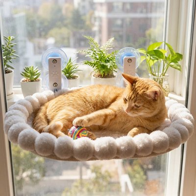 hamac pour chat ovale bordure moelleuse chat jouant