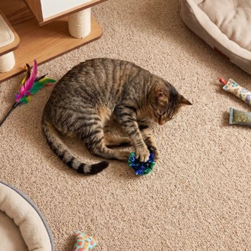 jeu chat balles multicolores chat allonge