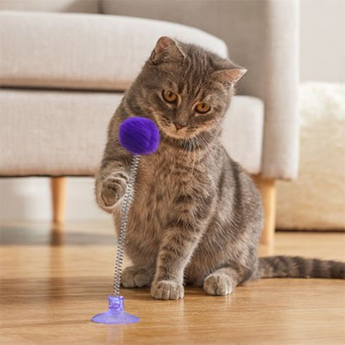 jeu chat pompon ressort violet chat assis