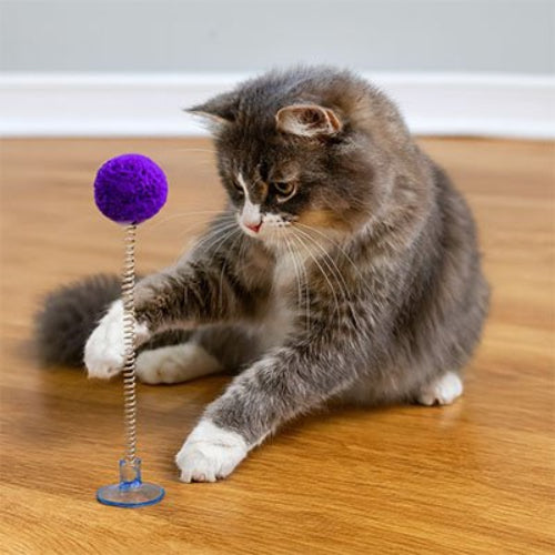 jeu chat pompon ressort violet chat jouant