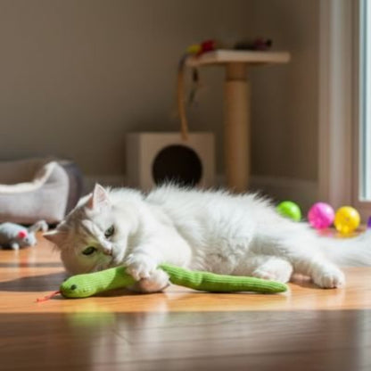jeu chat serpent chat allonge attrapant