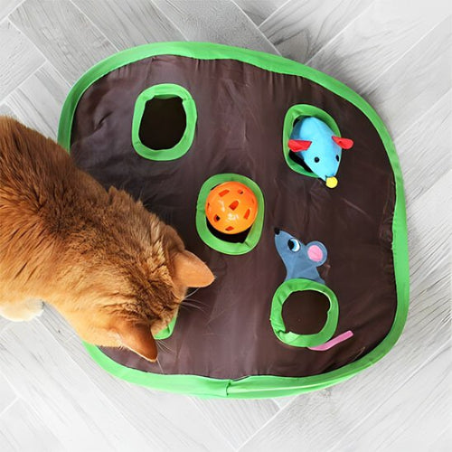 jeu chat tunnel interactif avec chat