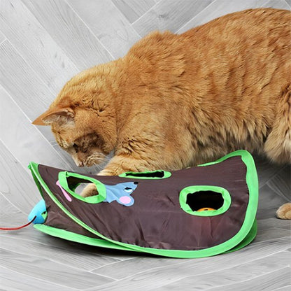jeu chat tunnel interactif chat jouant