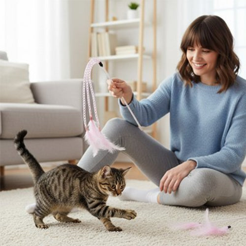 jeu pour chat baguette a plumes rose maitresse chat