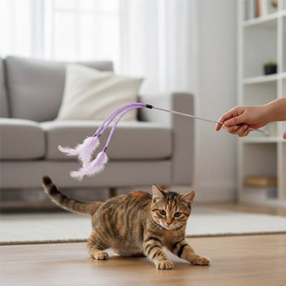 jeu pour chat baguette a plumes violet avec chat