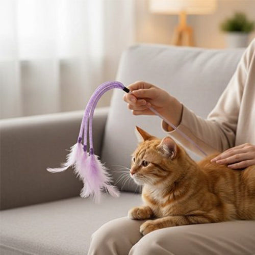 jeu pour chat baguette a plumes violet chat allonge