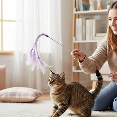 jeu pour chat baguette a plumes violet maitresse chat
