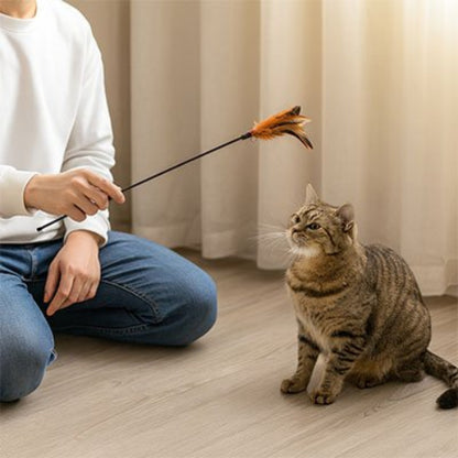 jeu pour chat baguette interactive orange chat assis