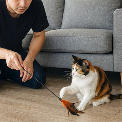 jeu pour chat baguette interactive orange maitre avec chat