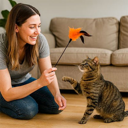 jeu pour chat baguette interactive orange maitresse chat jouant