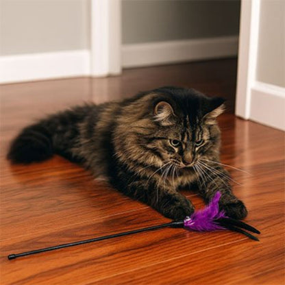 jeu pour chat baguette interactive violet chat jouant